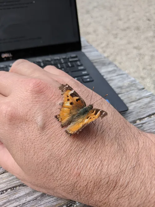 Episode Six: Stephanie Kirmer, Senior Data Scientist at Saturn Cloud