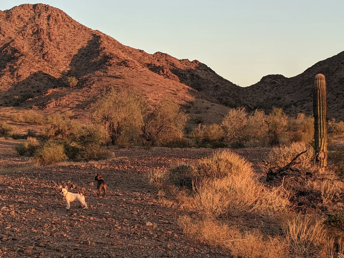 Episode Four and Five of: More than a refresh available