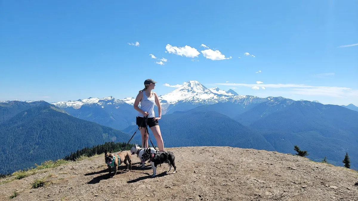 Get back on that horse