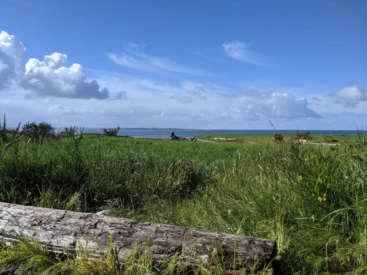 What makes a Postgres contributor?