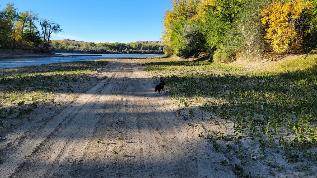 An update on the hunt for 195