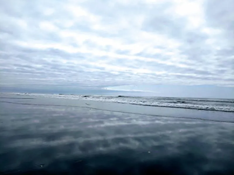 The COVID-19 Pivot: An Opportunity for Reflection