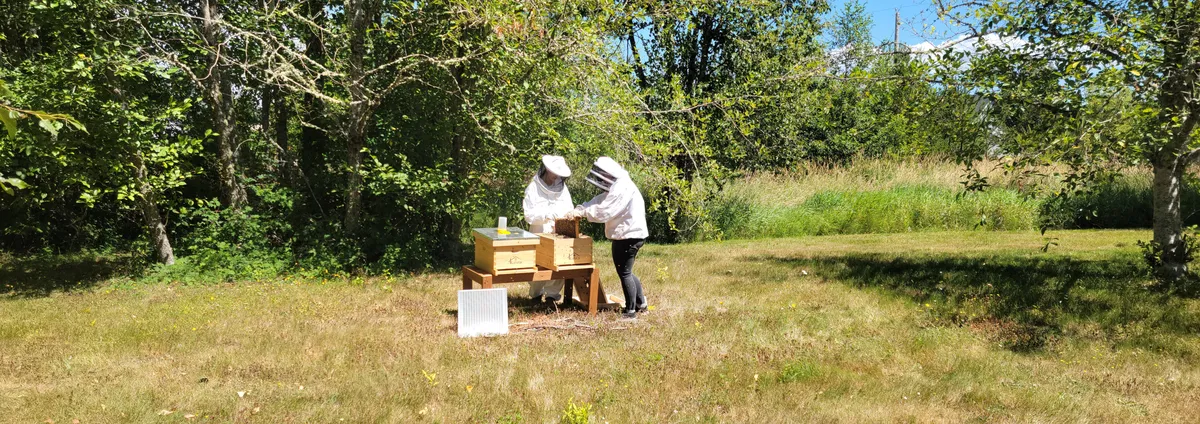 Mark Porter: CTO MongoDB on PostgreSQL and MongoDB