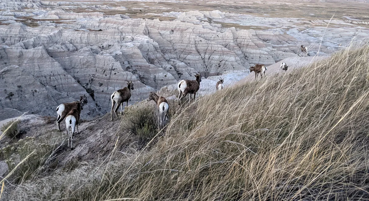 Top 5 Reasons to Move to a Peer Review Focused Business