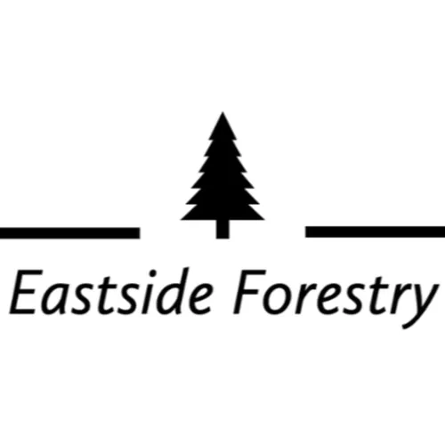 MTAR 52: How government cuts affect our forests and how trees are going to save the world