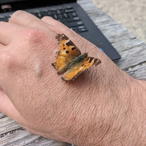 MTAR 06: Human beings are always at the center of data and questioning "could" vs "should"